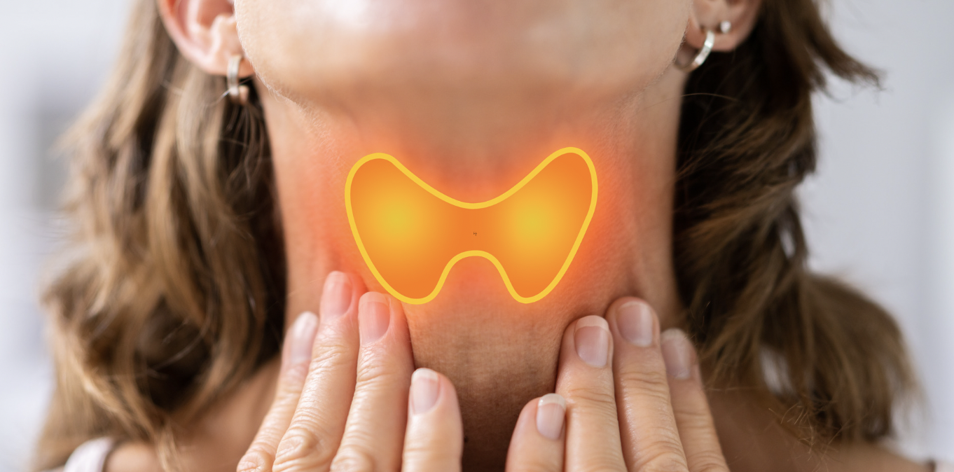 thyroid and menopause